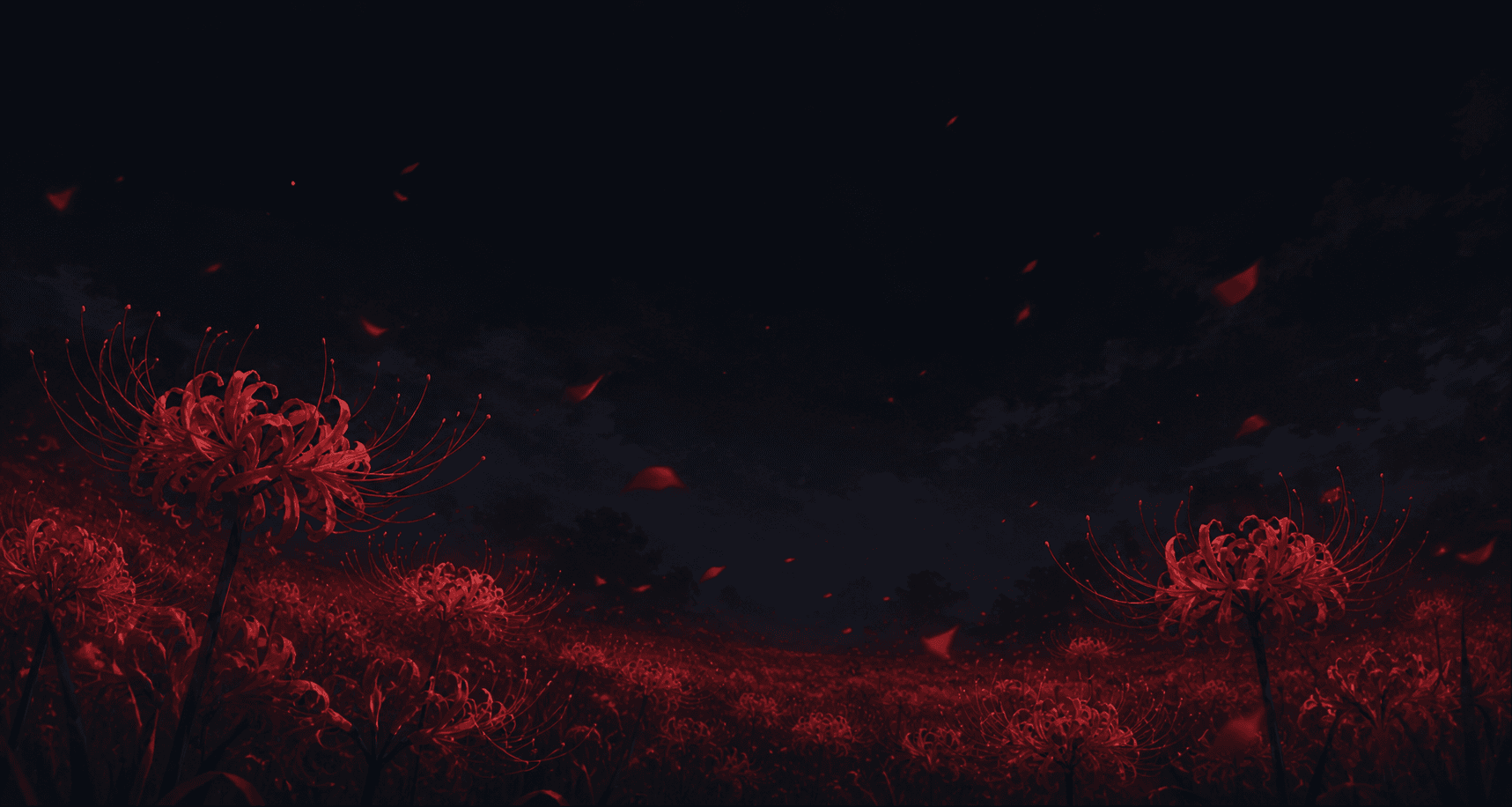 Spider lily background